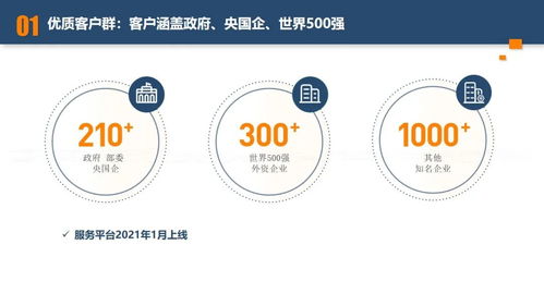 某央企旅游集团b端商旅业务混合所有制改革项目