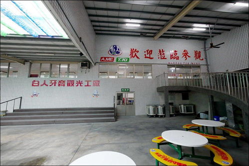 台湾工业旅游之特立独行的白人牙膏观光工厂