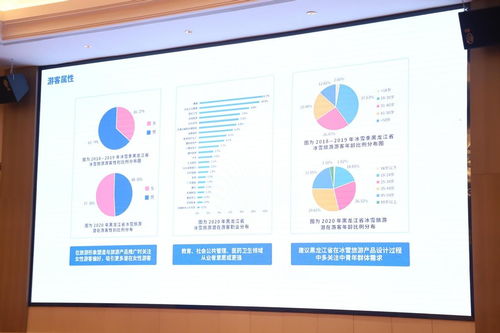 中国黑龙江冰雪旅游产业发展指数暨2021年冬季旅游产品发布会闪耀 榕城 福州
