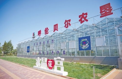 宜游景观美如画 农旅融合促发展 呼伦贝尔农垦集团扎实推进各垦区旅游项目建设和景区品质提升工作