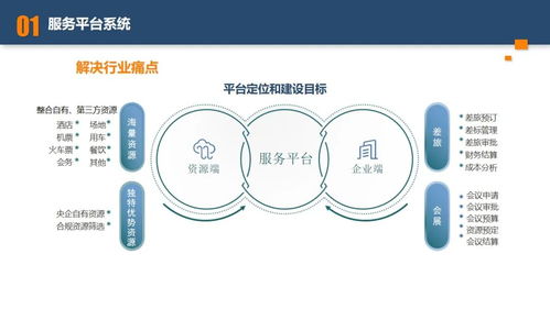 某央企旅游集团b端会展业务混合所有制改革项目