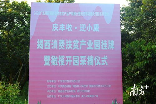 产业旅游齐发力,我为山清水秀的揭西灰寨镇打call 丨 镇上来了工作队④