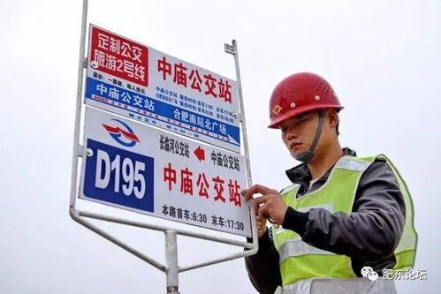 肥东定制公交正式开通，新增三条线路助力旅游出行