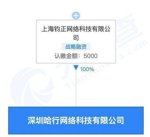 哈啰关联公司在深圳成立新公司，拓展旅游业务新布局