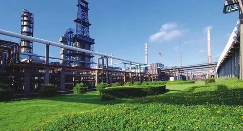 这样拍照,我都认不出这是我工作10几年的炼厂啦