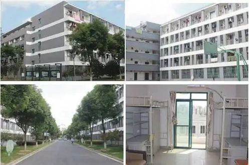 每月稳定6000 ,年前找工作速看